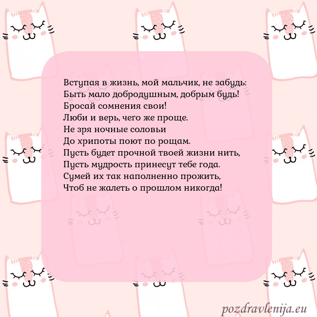 Розовая открытка с забавными кошками