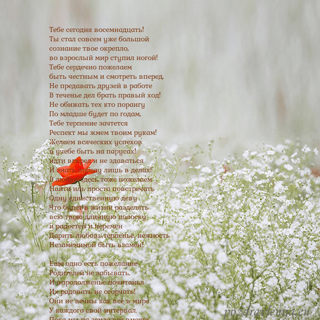 Электронная открытка с белыми цветами