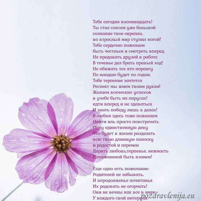 Электронная открытка с фиолетовым цветком