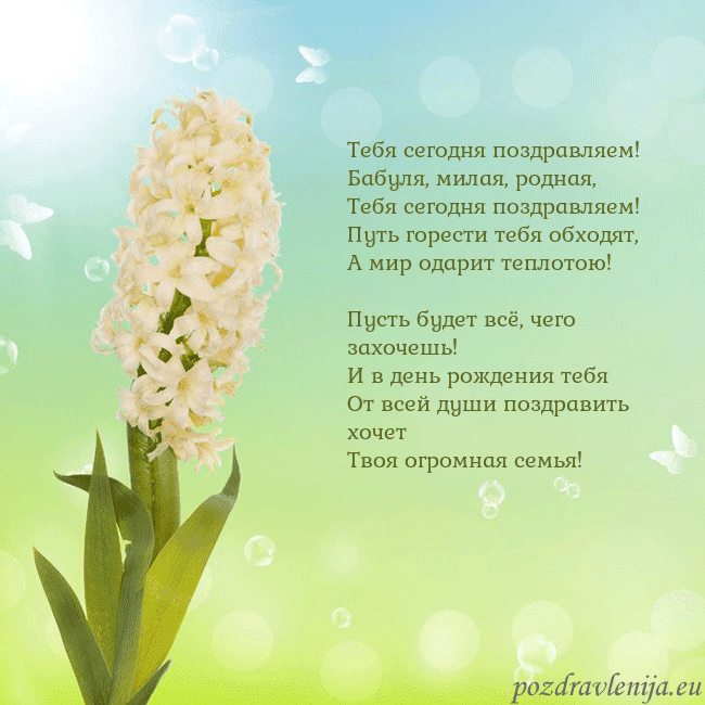 Открытка с гиацинтом