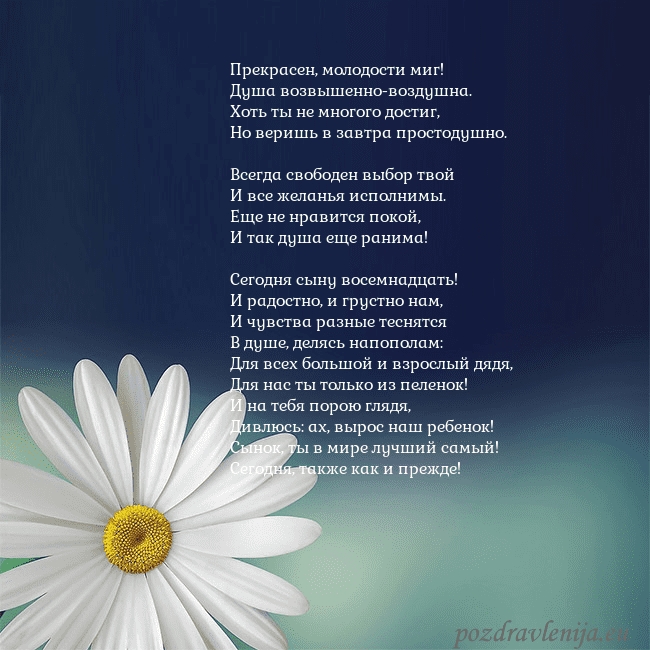 Открытка с большой ромашкой