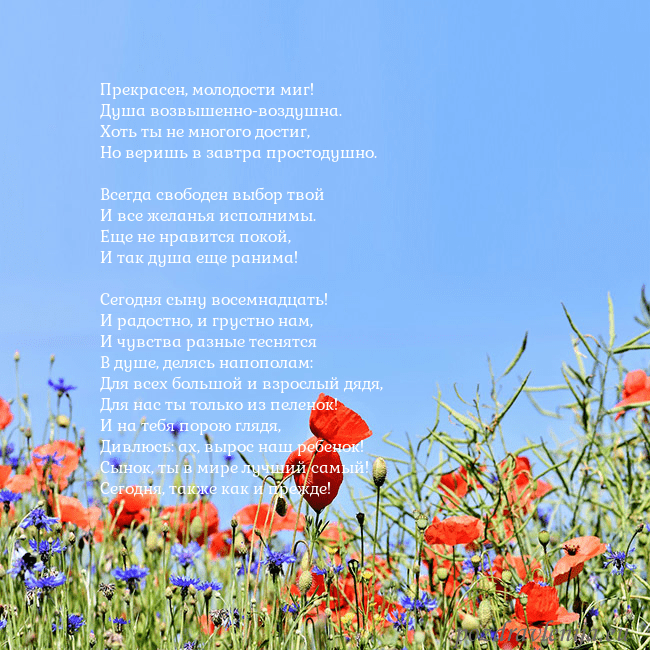 Открытка с маками