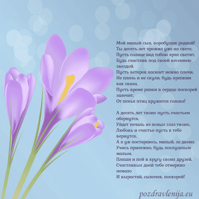 Открытка с крокусом