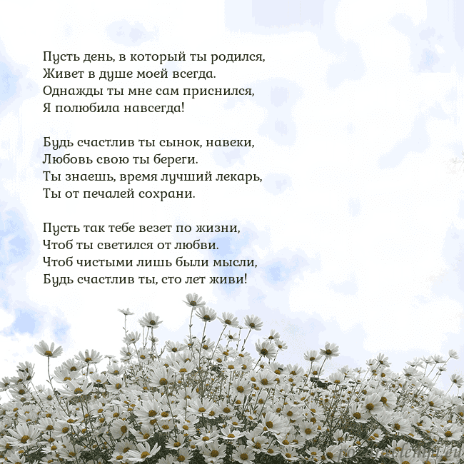 Открытка с ромашками