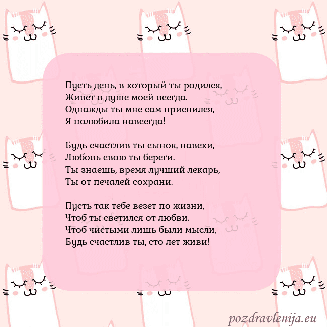 Розовая открытка с забавными кошками