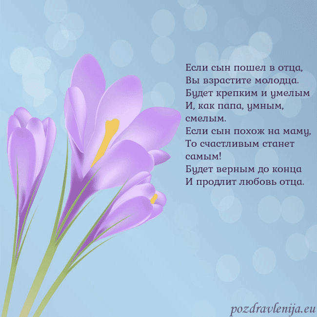 Открытка с крокусом