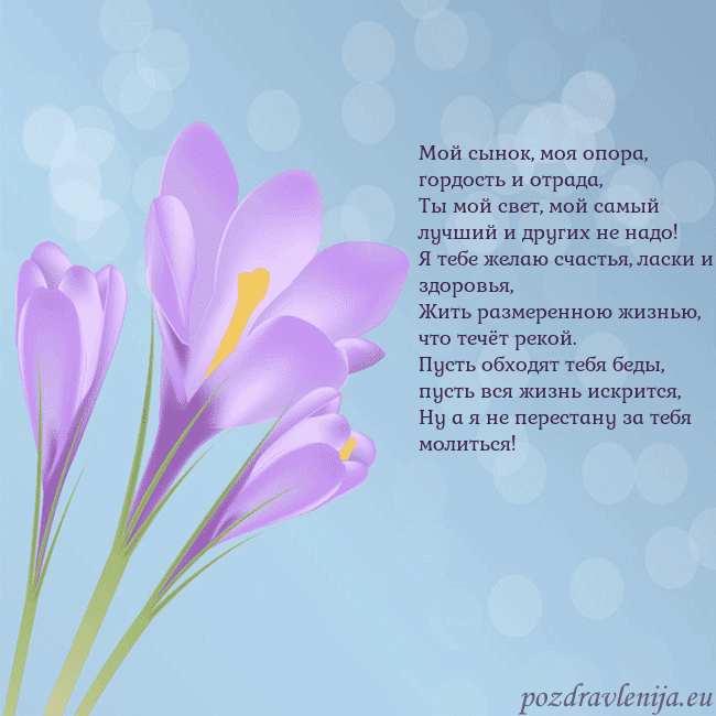 Открытка с крокусом