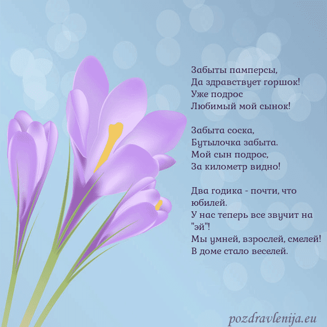 Открытка с крокусом