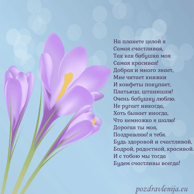 Открытка с крокусом