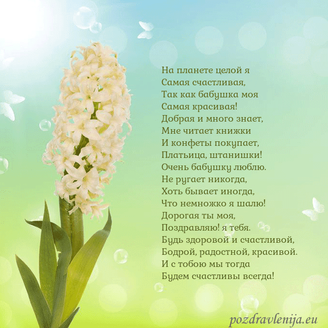 Открытка с гиацинтом