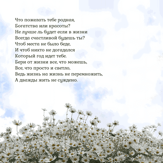 Открытка с ромашками