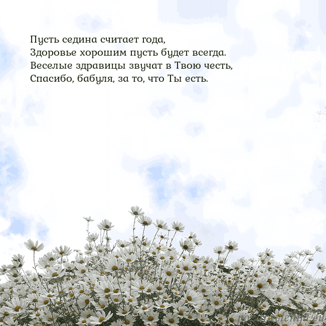 Открытка с ромашками