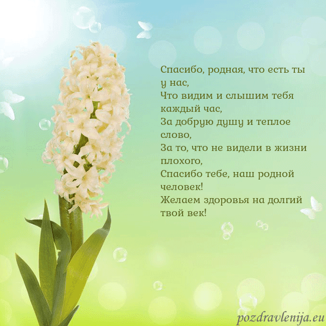 Открытка с гиацинтом