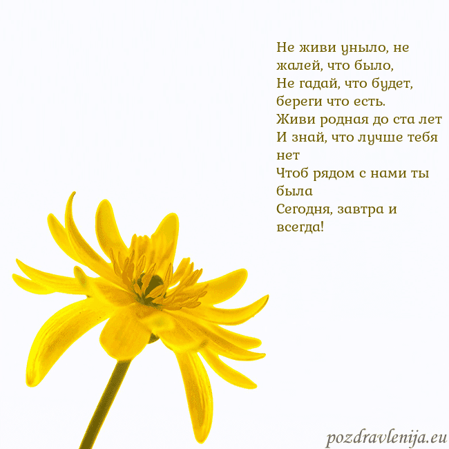 Открытка с желтым цветком