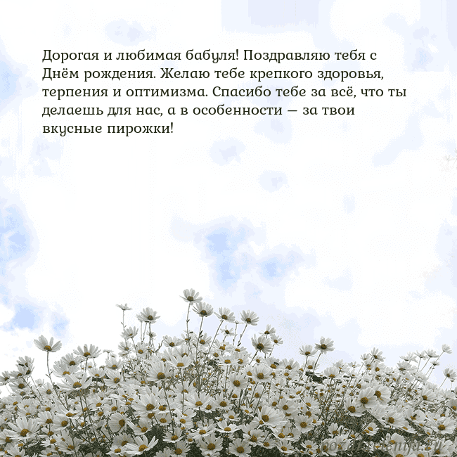 Открытка с ромашками