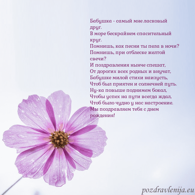 Электронная открытка с фиолетовым цветком
