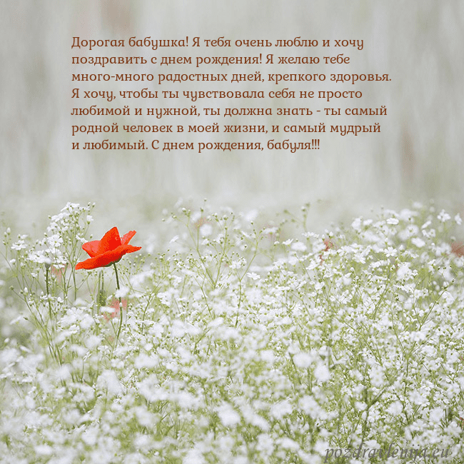 Электронная открытка с белыми цветами