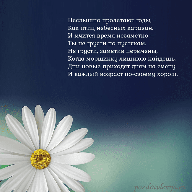 Открытка с большой ромашкой