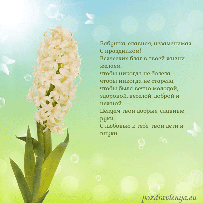 Открытка с гиацинтом