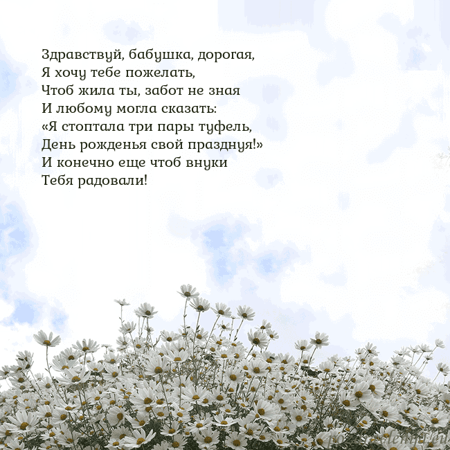 Открытка с ромашками