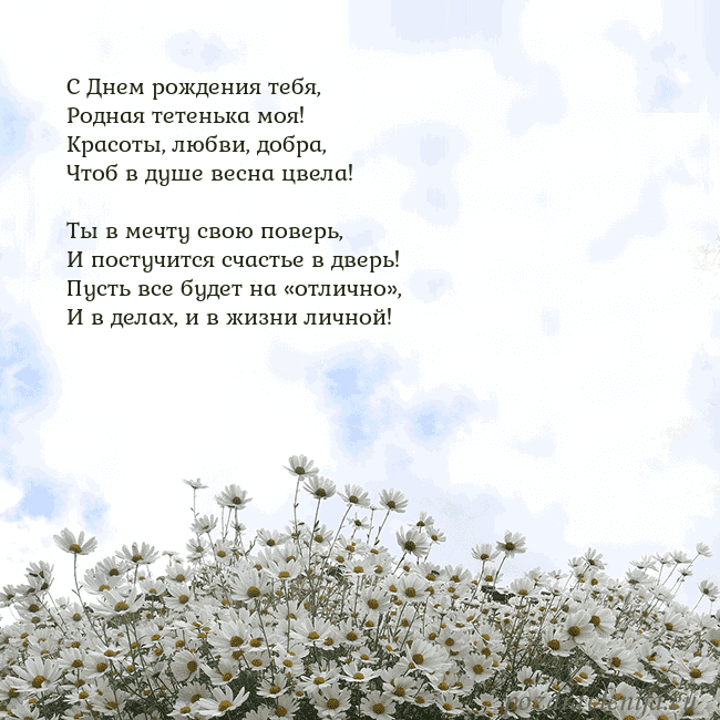 Открытка с ромашками