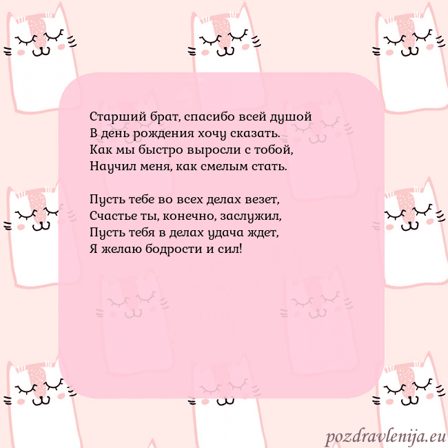 Розовая открытка с забавными кошками