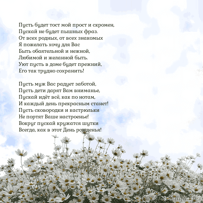 Открытка с ромашками