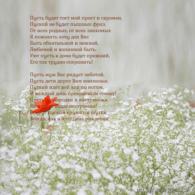 Электронная открытка с белыми цветами