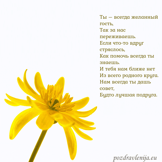 Открытка с желтым цветком