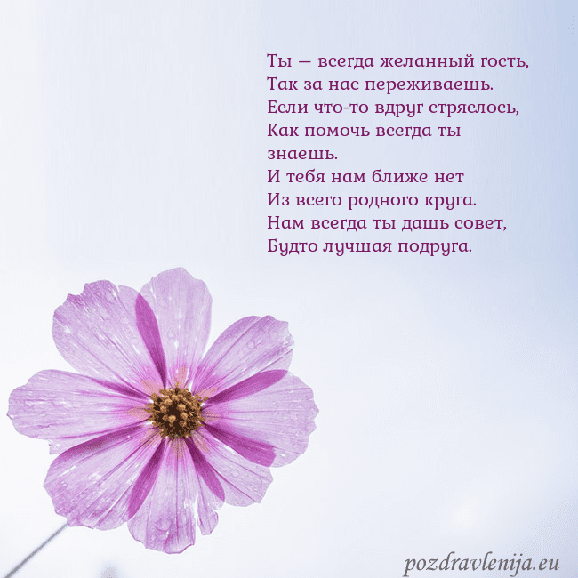 Электронная открытка с фиолетовым цветком