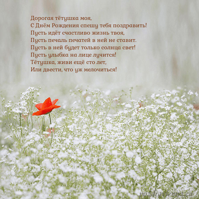 Электронная открытка с белыми цветами