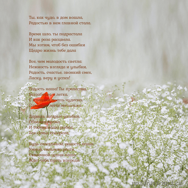 Электронная открытка с белыми цветами