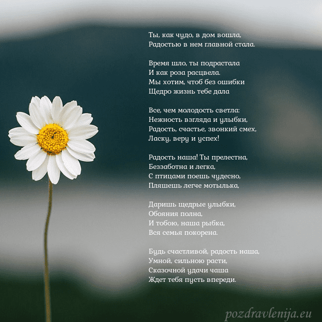 Электронная открытка с ромашкой Ты, как чудо, в дом вошла,
Радостью в нем главной Электронная открытка с ромашкой