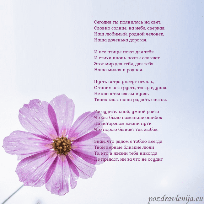 Электронная открытка с фиолетовым цветком Сегодня ты появилась на свет,
Словно солнце, на не Электронная открытка с фиолетовым цветком