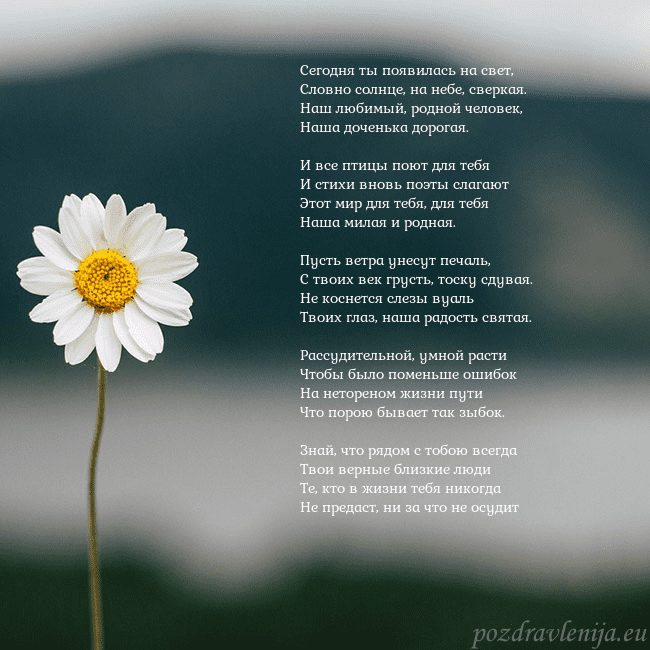 Электронная открытка с ромашкой Сегодня ты появилась на свет,
Словно солнце, на не Электронная открытка с ромашкой