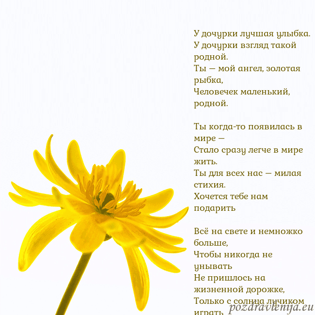 Открытка с желтым цветком