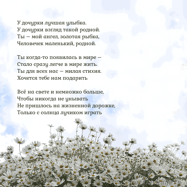 Открытка с ромашками