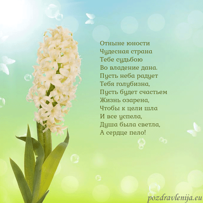 Открытка с гиацинтом