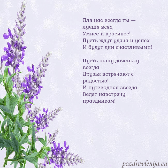 Открытка с люпинами