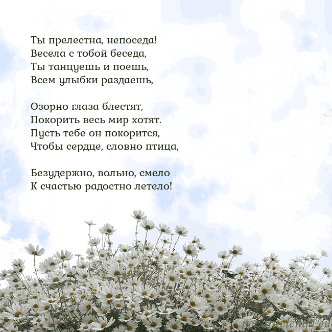 Открытка с ромашками