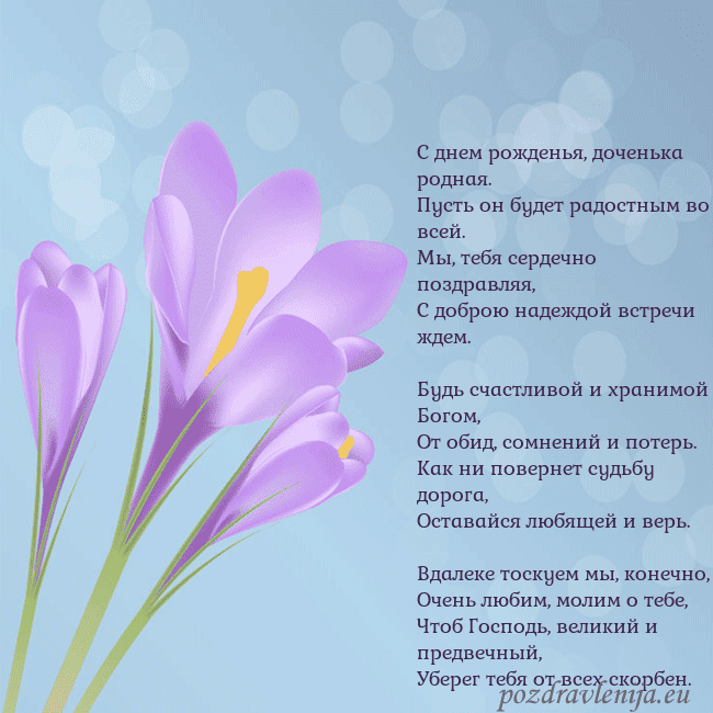 Открытка с крокусом