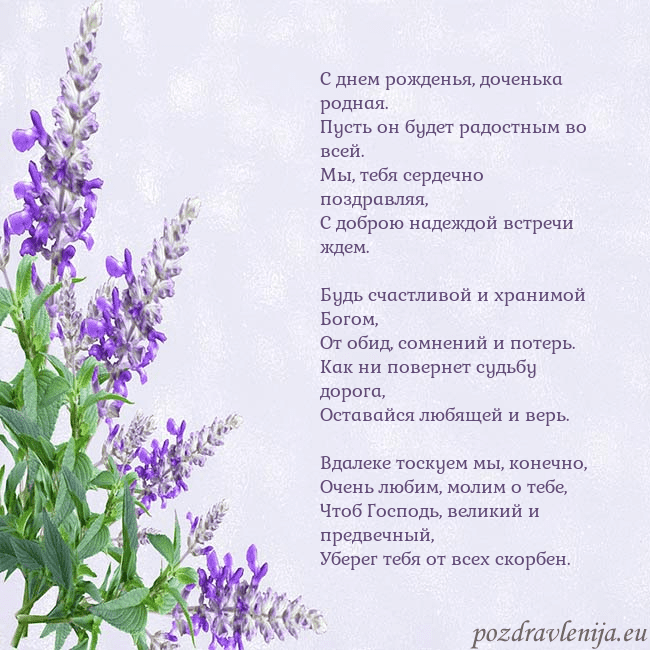 Открытка с люпинами