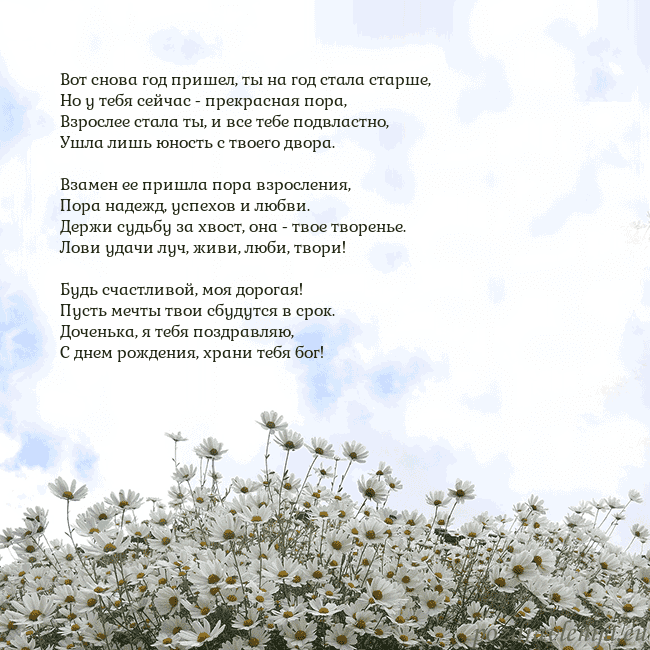 Открытка с ромашками