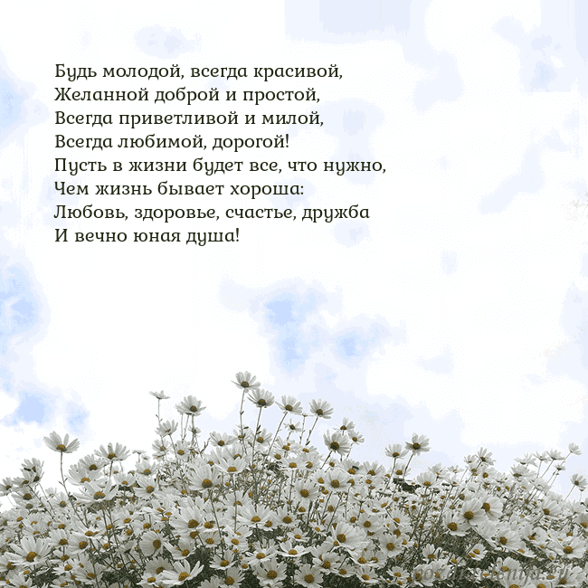 Открытка с ромашками