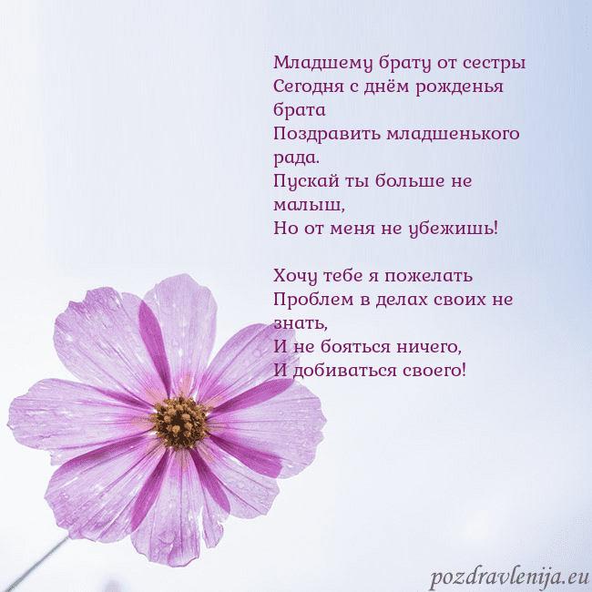 Электронная открытка с фиолетовым цветком