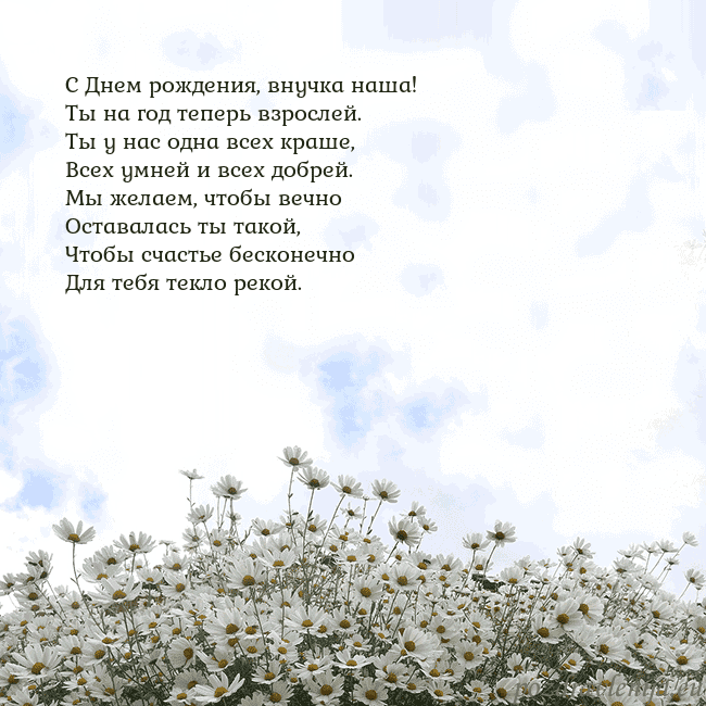 Открытка с ромашками