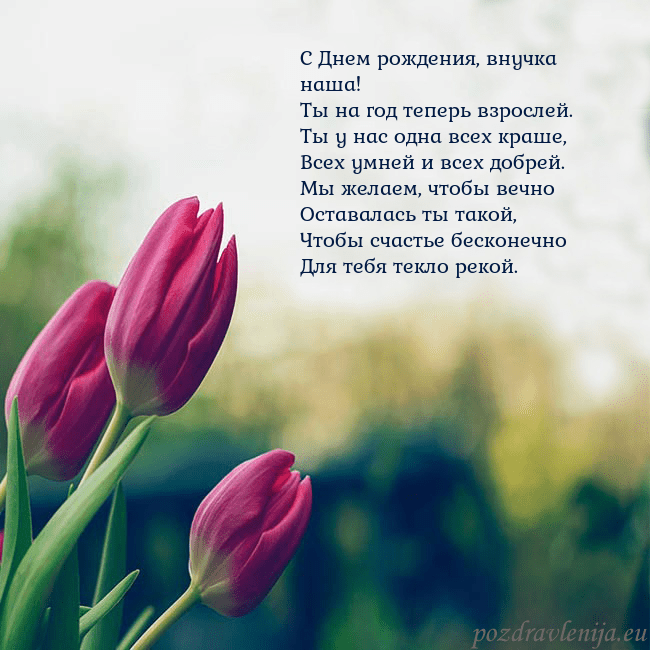 Открытка с тремя красными тюльпанами