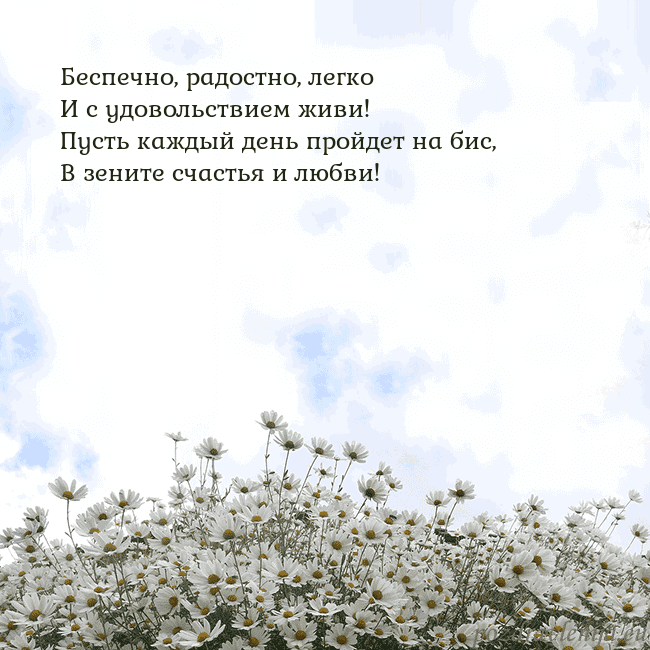 Открытка с ромашками