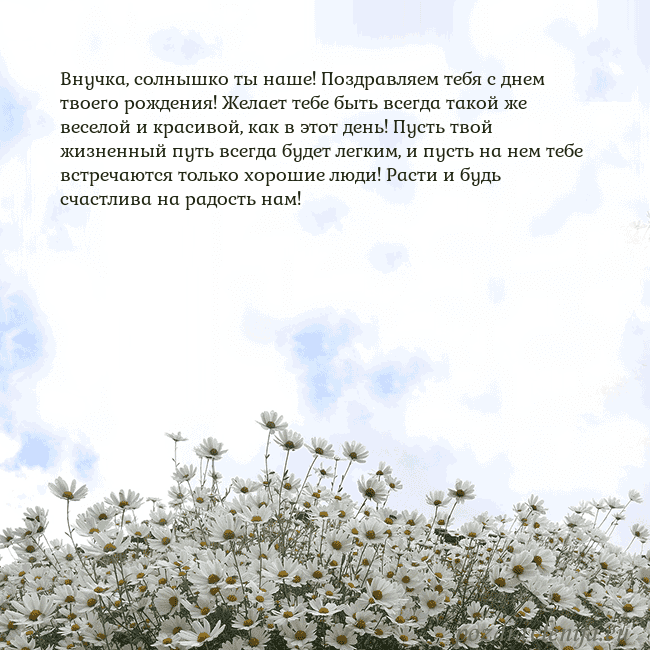 Открытка с ромашками