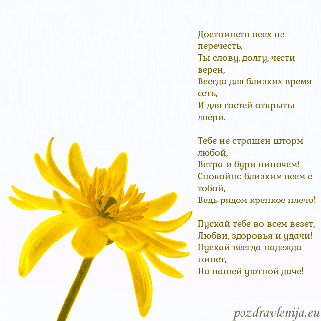Открытка с желтым цветком